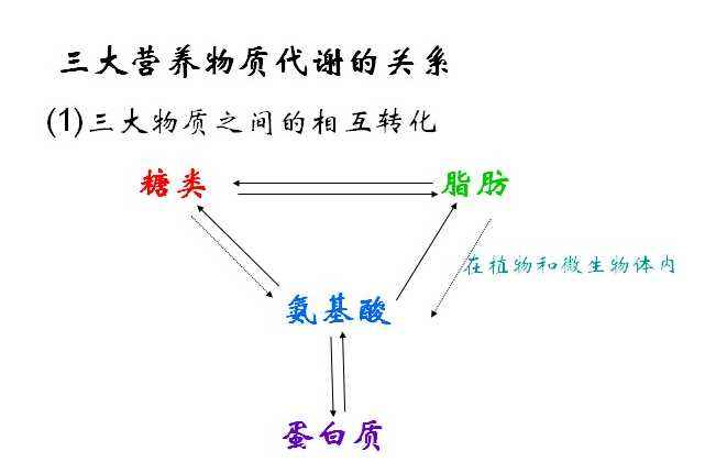 碳水化合物的英文为carbohydrate,即我们俗称的 醣类