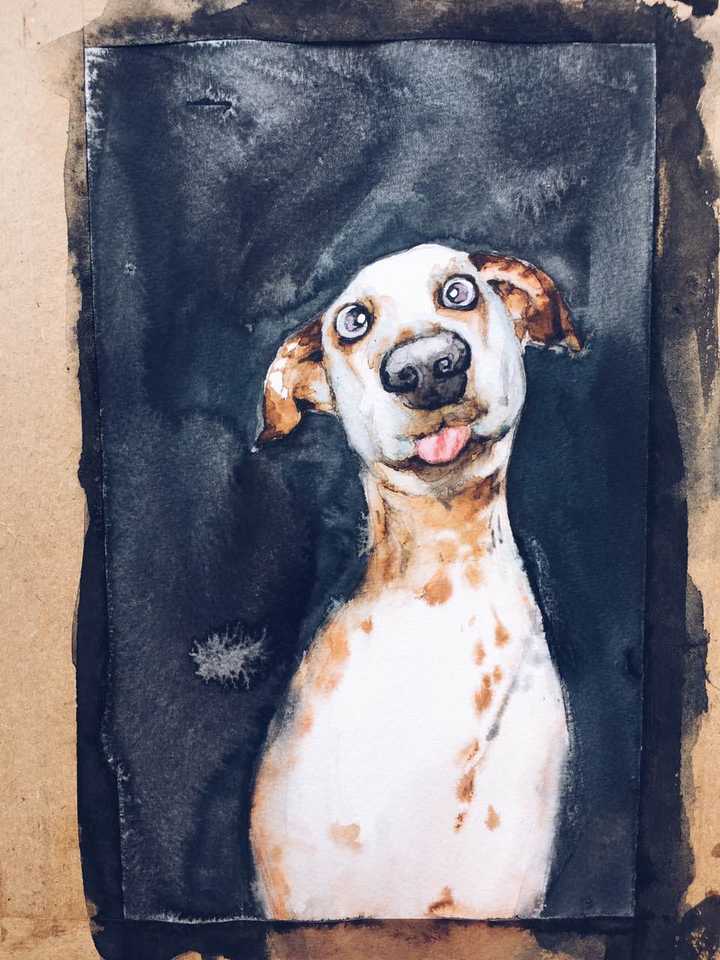如何自学水彩画 初心的回答 知乎 如何自学水彩画 初心的回答 知乎