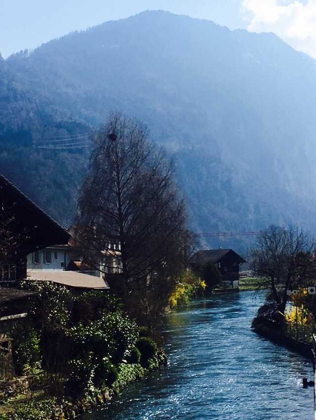 瀑布的水逆流而上,蒲公英种子从远处飘… - 知