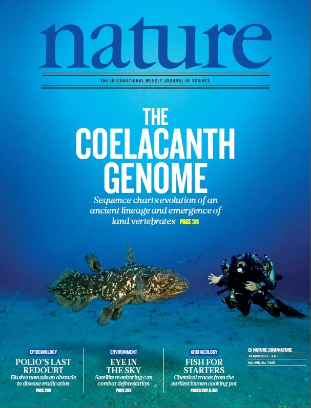 如何看待肖战粉丝将肖战 p 图蹭科研顶刊 nature 封面?