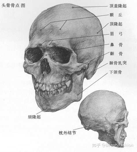怎么判断眉弓骨高低 知乎