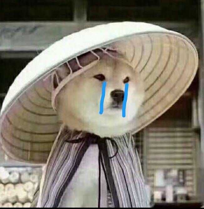 流下了羡慕的泪水