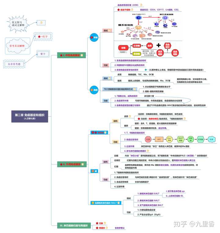 在哪裡可以找到第七版醫學免疫學的思維導圖啊