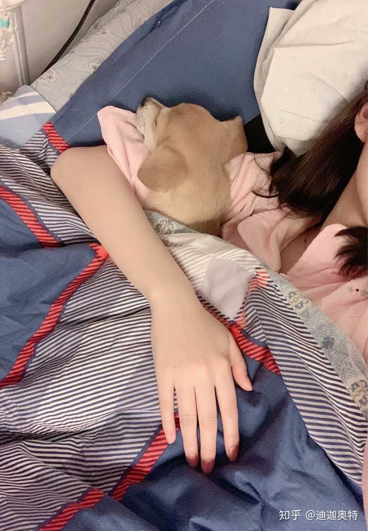 和狗睡一个被窝,是什么感觉?