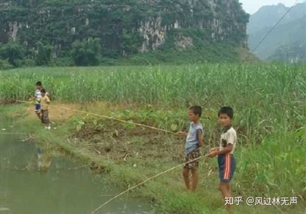 生長在農村,小時候有哪些比較清晰的回憶是美好的.