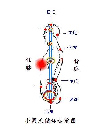 九阴,全真,玉女等经等纯阴内功路子的内息走行任脉返督脉