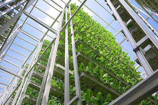 “新春走基层”系列报道 ①重大项目筑就发展新支撑