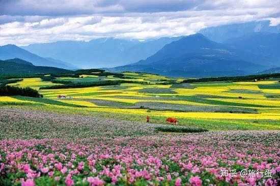 文海——高山湖泊,草甸花海 文海是玉龍雪山下一個季節性湖泊(類似