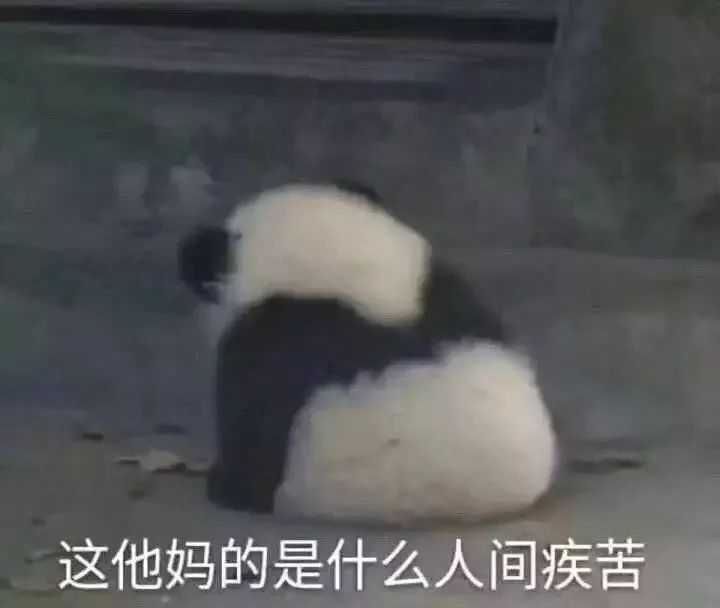 有没有让人笑到头掉的沙雕文案?