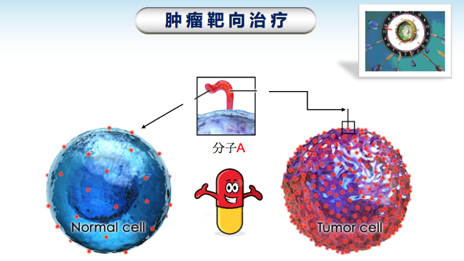 强制性脊柱炎,类风湿性关节炎等,应用分子靶向药物治疗均取得了良好的