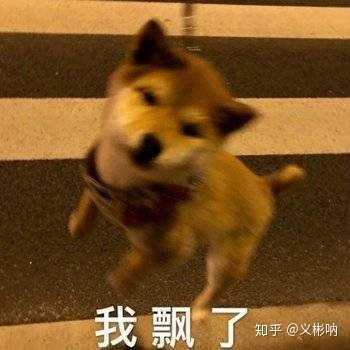 有没有让朋友圈人气暴涨的沙雕文案?