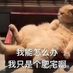 有没有让朋友圈人气暴涨的沙雕文案?