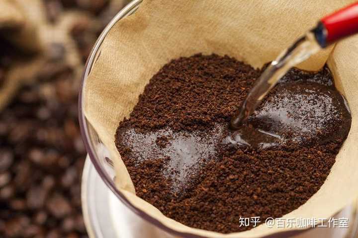 灵芝咖啡是怎样一种存在 知乎