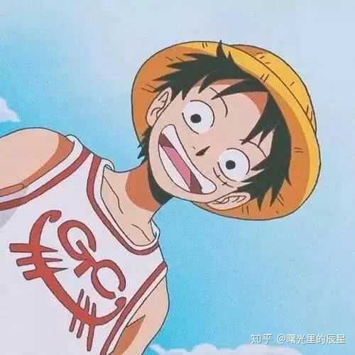 首次看的是《海贼王》满满的屏幕都是草帽小子的正能量.