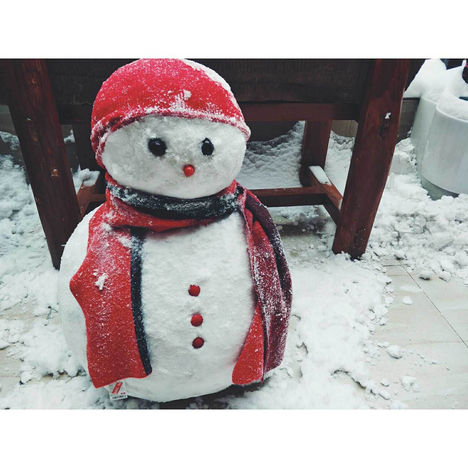 和妹妹在家里堆的雪人宝宝  显示全部