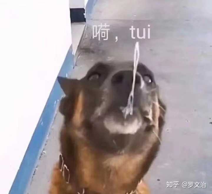 人在受什么伤或者什么器官受损的情况下才会吐血喷血 知乎