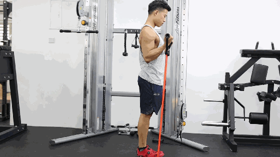 如何全面地运用弹力带进行宿舍健身?