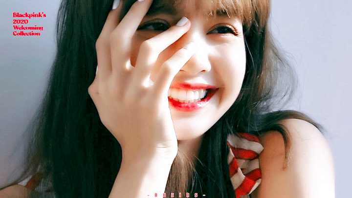 谁来科普一下lisa