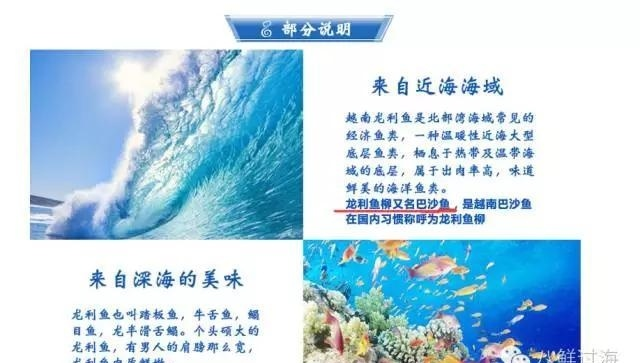 传言中国超市里的龙利鱼其实原名巴沙鱼 对人体大大有害 是否属实 知乎