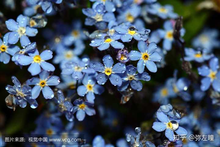 好听的花艺作品名称 花艺插花名字大全 插花作品寓意及主题