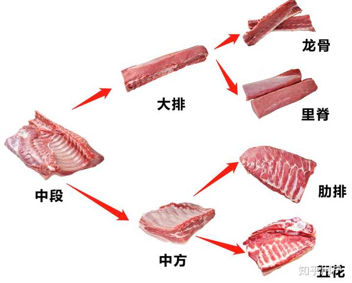 五花肉是猪的哪一块,跟里脊肉比价格怎么样? - 知乎