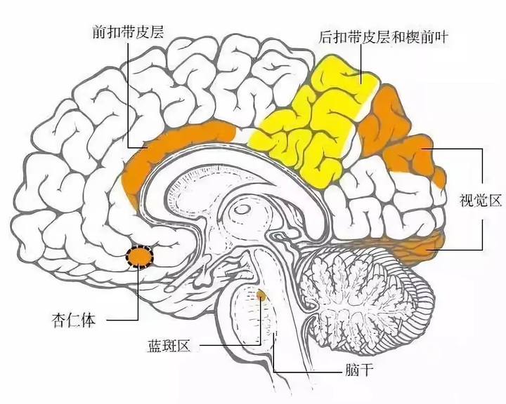 v2-fe6dc7a3b8ec6563e19aee9cafbec665_bh.jpg