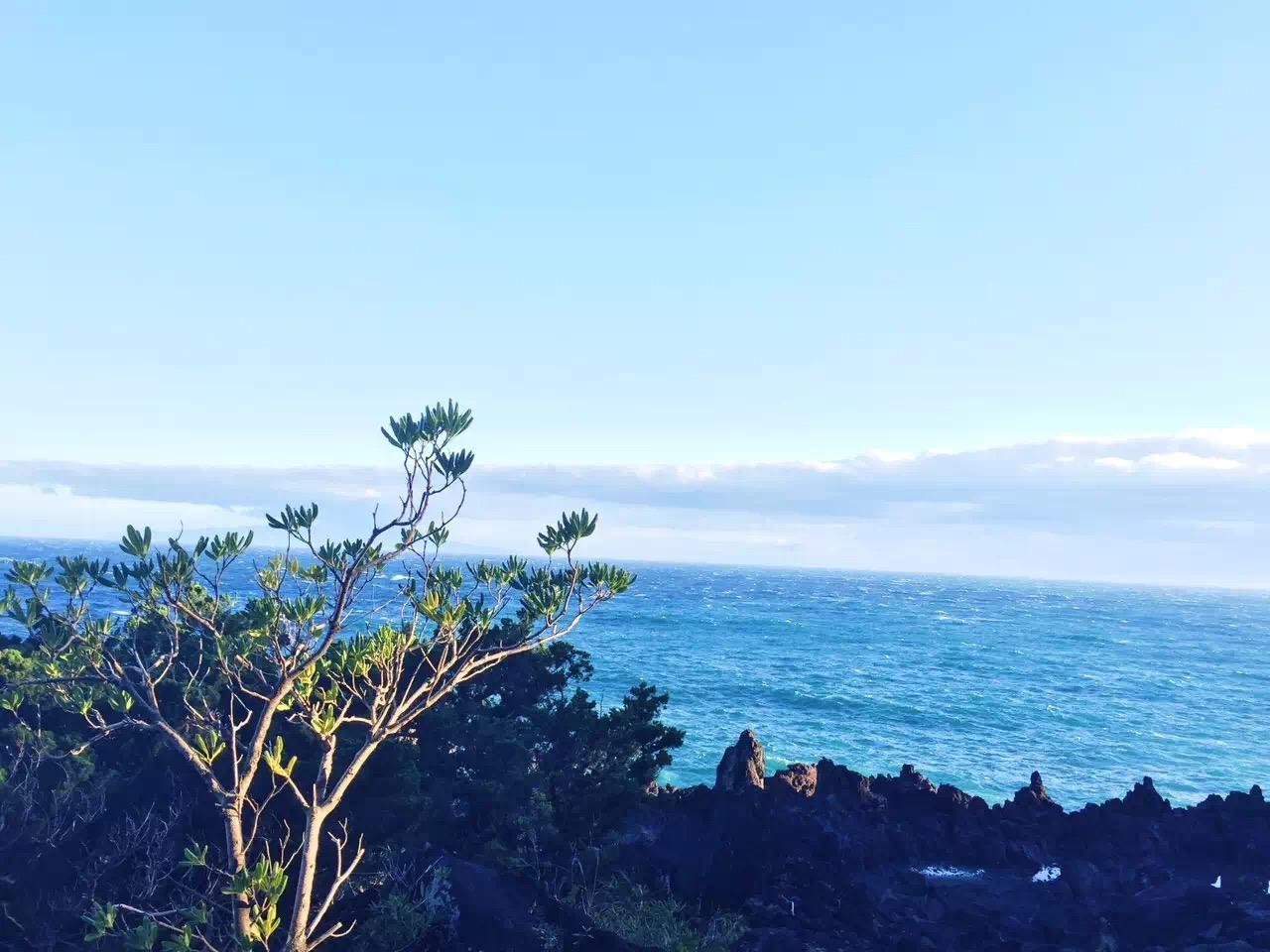 想去日本自由行 是报团还是自己买机票 有什么