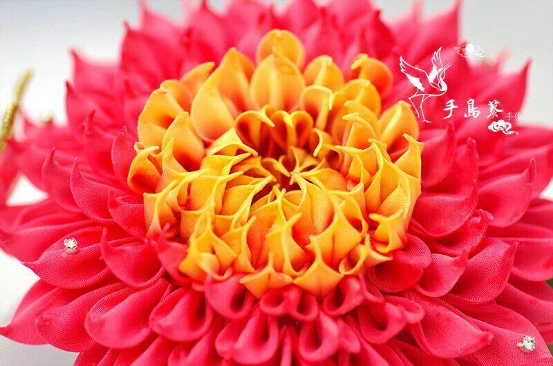 蓝莲花什么样 51b9fc37ff61b2b410a013fe1f121dcf_r.jpg