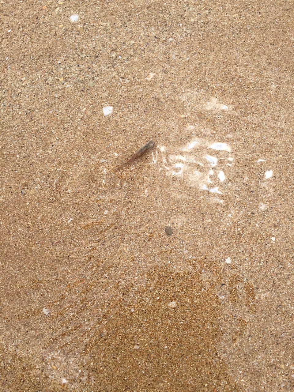 5 月部门组织旅游,有人建议去温州的南麂岛,有