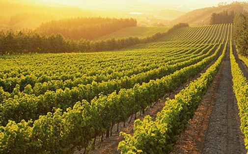 为什么,西欧北欧,美加,澳纽等地的农村看上去总