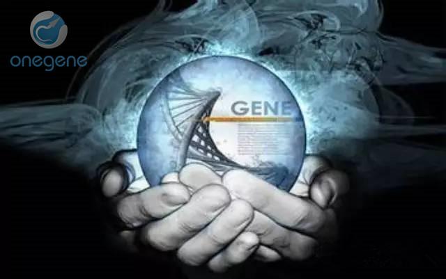 什么是基因检测到底有没有用 54eb7ad969df32e3c2bd458939169ec5_1440w.jpg?source=172ae18b