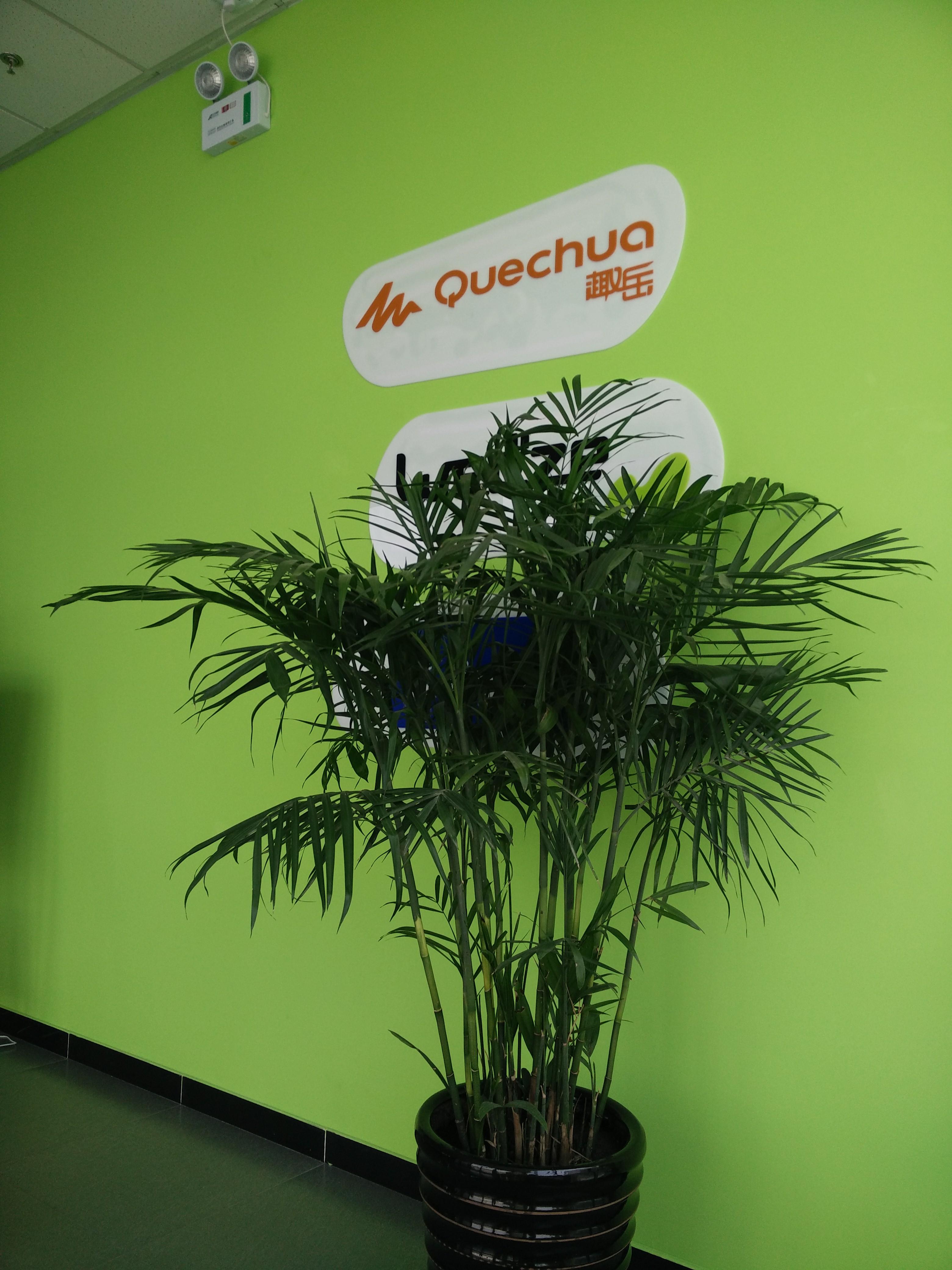 有人知道迪卡侬的销售助理是一份怎样的工作吗