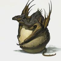 jade dragonia音乐治疗在读