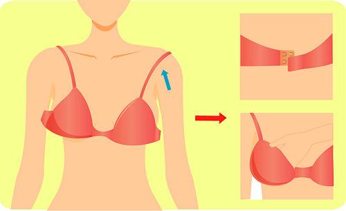 <em>胸罩</em>对于女人是束缚还是帮助? - 朱玓的回答 - 