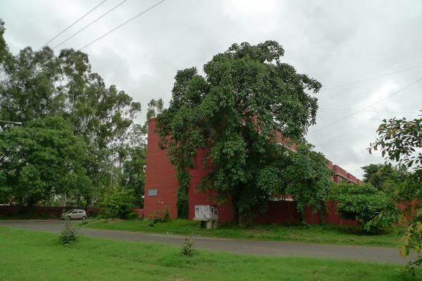 所居住的印度人家的小区 一个片区的购物点 在印度大部分时间居住的