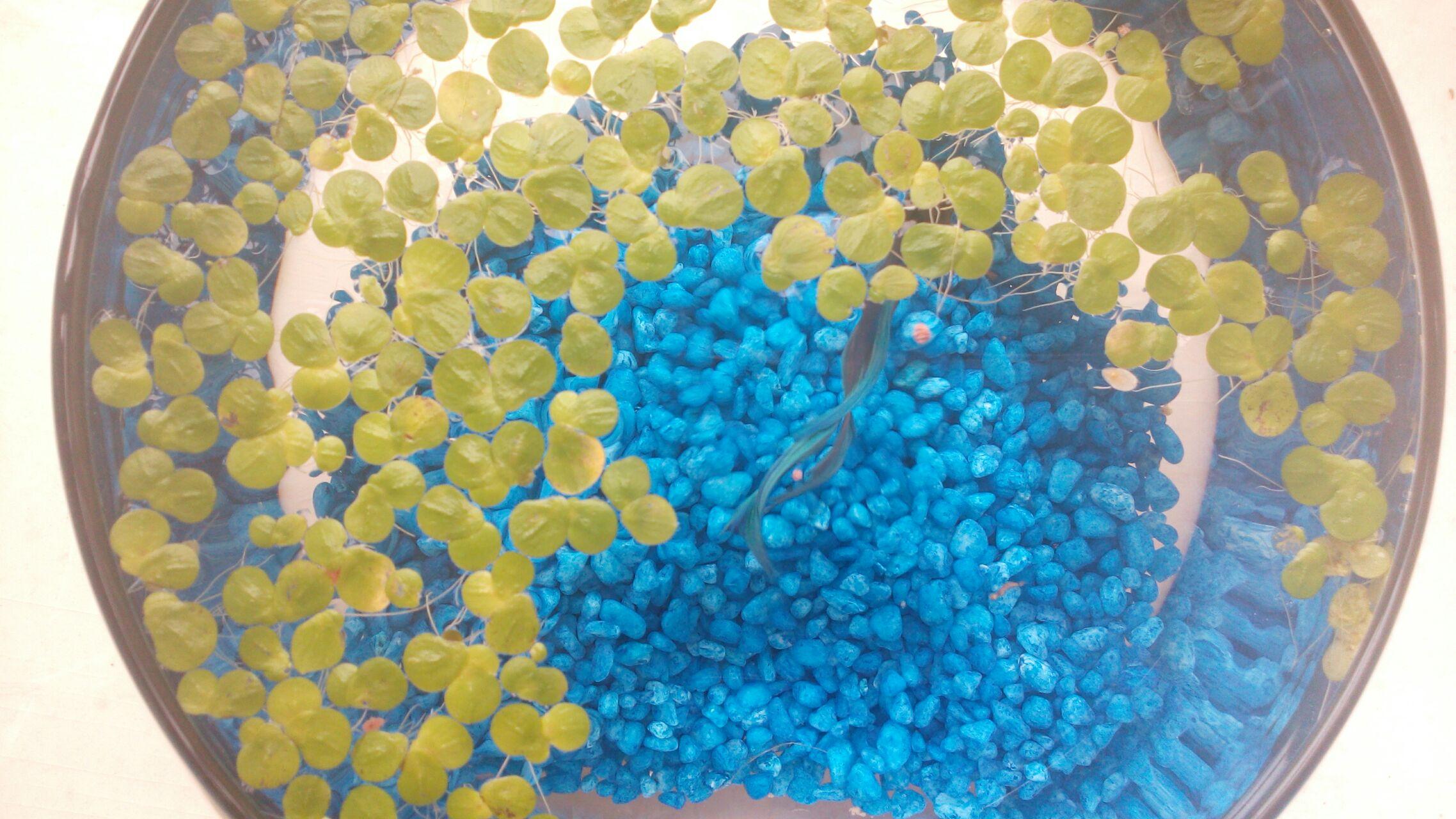 六月末七月初想和同学去广州旅游,大概一周多