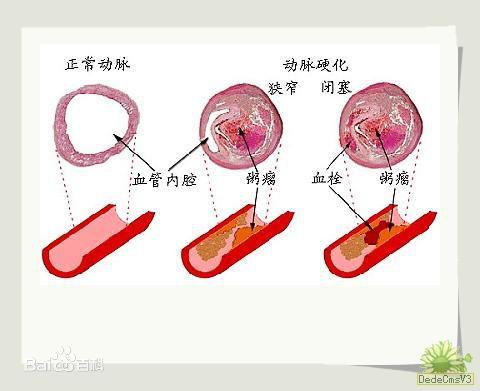 插序:为何切脉可知病? - 知乎