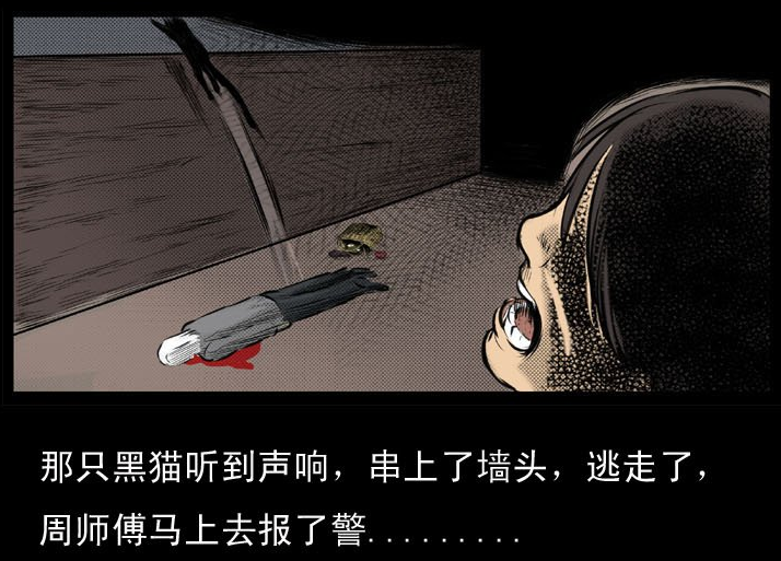 哈尔滨猫脸老太太事件