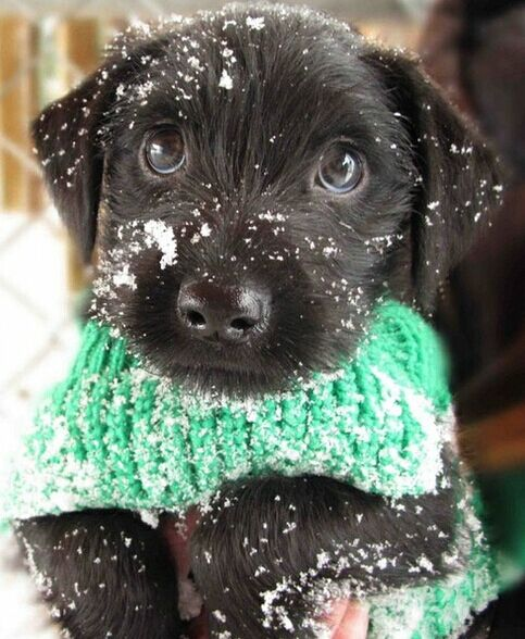 像孩子般清澈透亮的眼睛是什么样的?