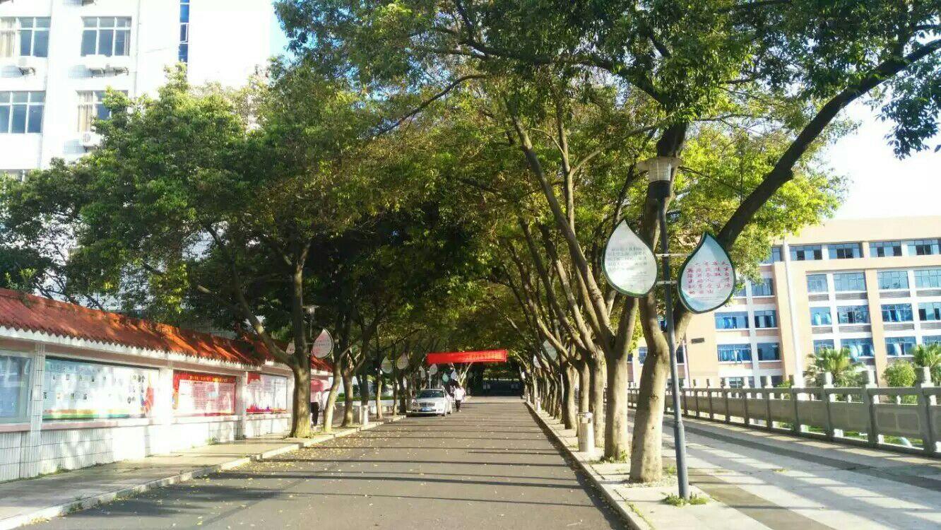 在龙岩二中就读一种怎样的体验?