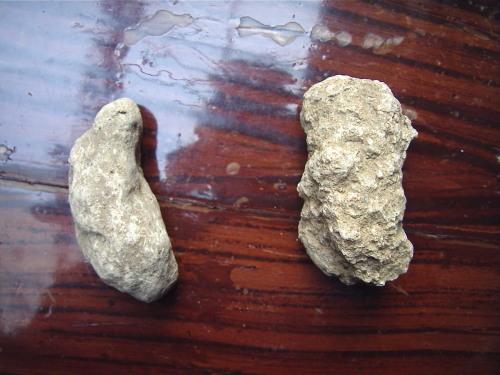 比如挖土的时候偶尔(部分地区经常)能挖出的沙姜就是一种钙质结核