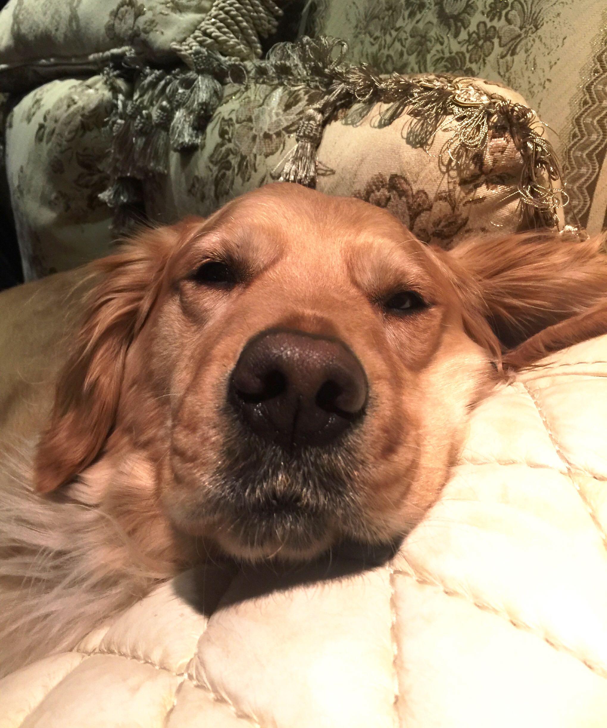 我的移动号码出现奇怪的状况:有话费余额300元