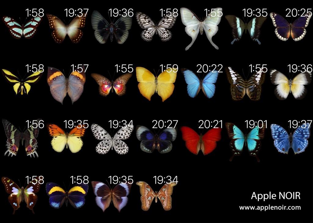 applewatch 6动态表盘 6530efb8ae489c47bccfb063f2a088f0_r.jpg