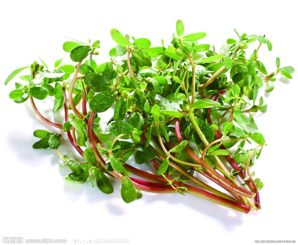 有哪些家乡很常见但外地没有的蔬菜呢?