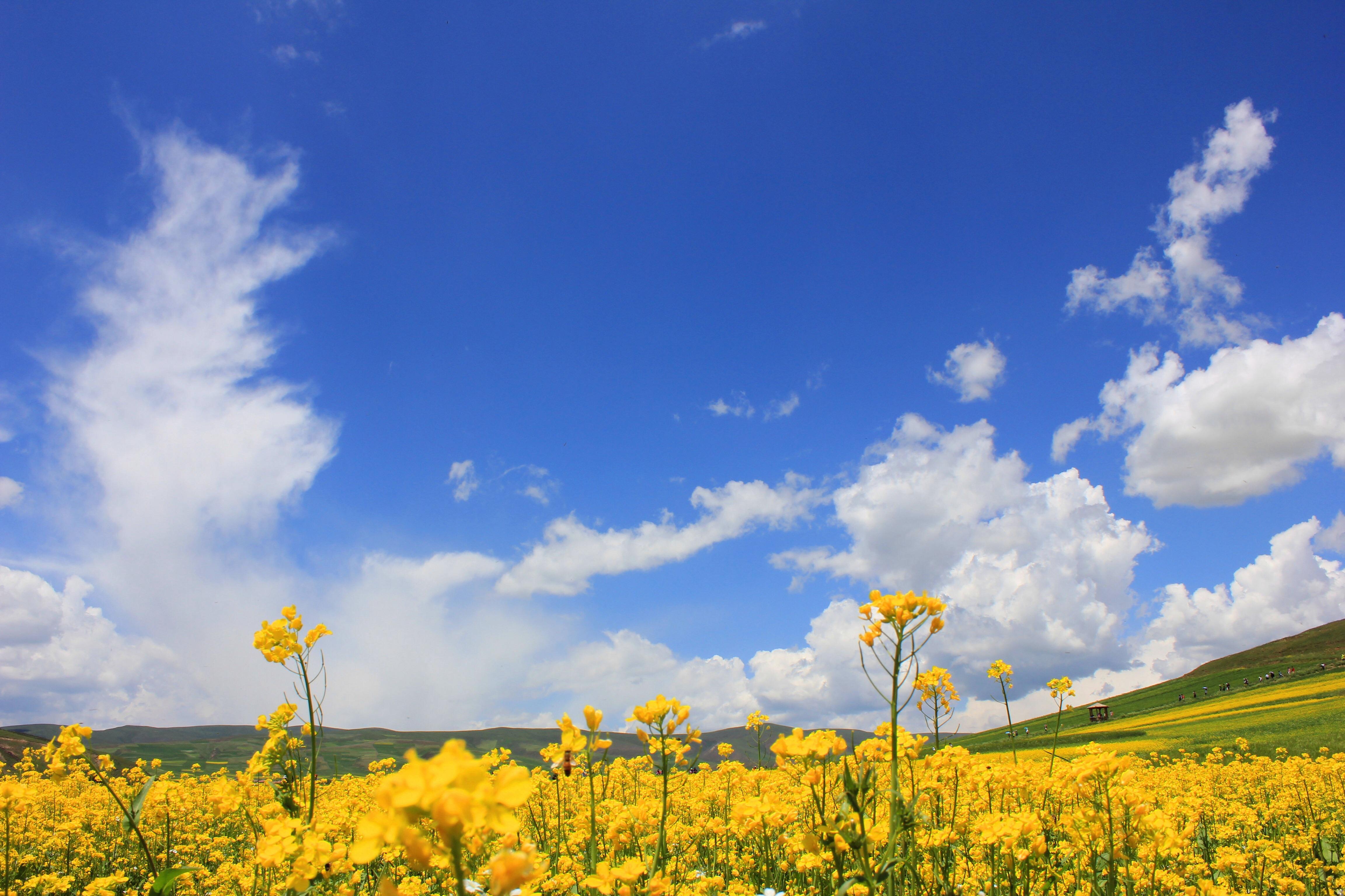 国内自然风景最美的地方是哪里? - 知乎