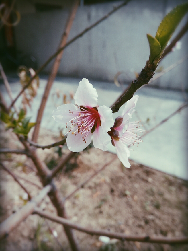 不爱学习 整天想着情爱吃喝玩乐化妆穿衣打扮