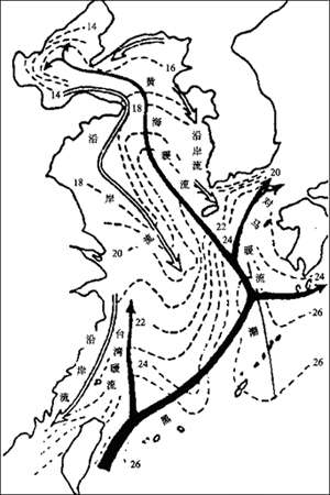 台湾暖流和黄海暖流为黑潮的支干.