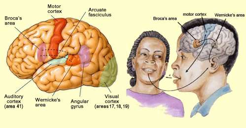 知乎日报 - 知乎