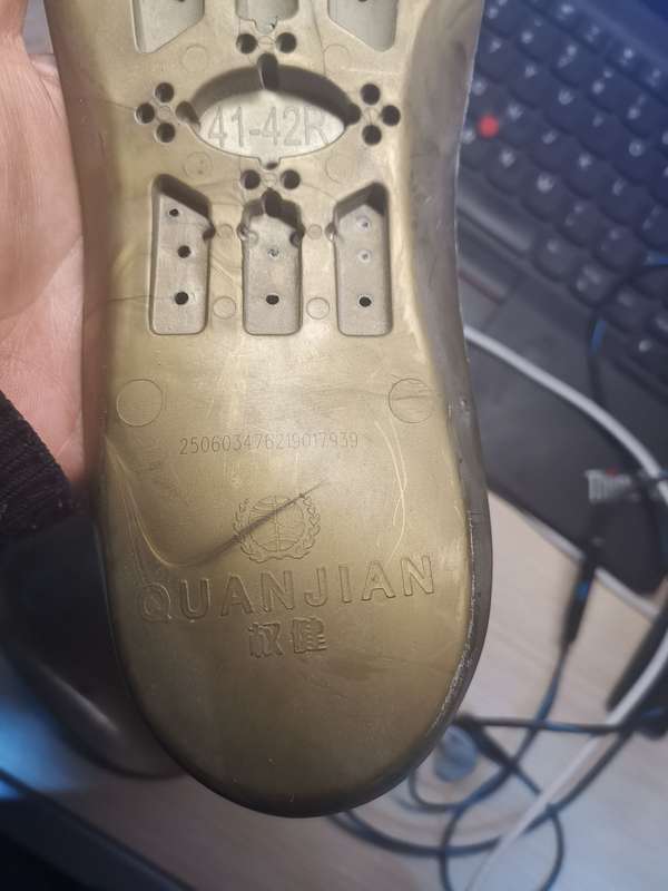 没办法.看着这顶花带刺的所谓"鞋垫",我含泪穿上了.