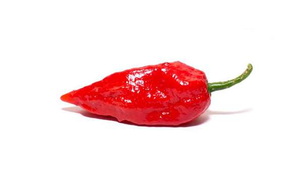 7,断魂椒(bhut jolokia,ghost pepper,印度鬼椒),辣度:1,041,427 shu